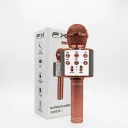 VN MICROFONO INALAMBRICO MC-858